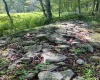 738 Jonathan Run Road, Parsons, West Virginia 26287, ,Lots/land,For Sale,Jonathan Run,10160923