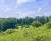 738 Jonathan Run Road, Parsons, West Virginia 26287, ,Lots/land,For Sale,Jonathan Run,10160923