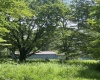 738 Jonathan Run Road, Parsons, West Virginia 26287, ,Lots/land,For Sale,Jonathan Run,10160923