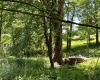 738 Jonathan Run Road, Parsons, West Virginia 26287, ,Lots/land,For Sale,Jonathan Run,10160923