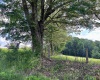738 Jonathan Run Road, Parsons, West Virginia 26287, ,Lots/land,For Sale,Jonathan Run,10160923