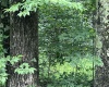 TBD Mountaineer Highway, Parsons, West Virginia 26287, ,Lots/land,For Sale,Mountaineer,10160922
