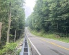 TBD Mountaineer Highway, Parsons, West Virginia 26287, ,Lots/land,For Sale,Mountaineer,10160922