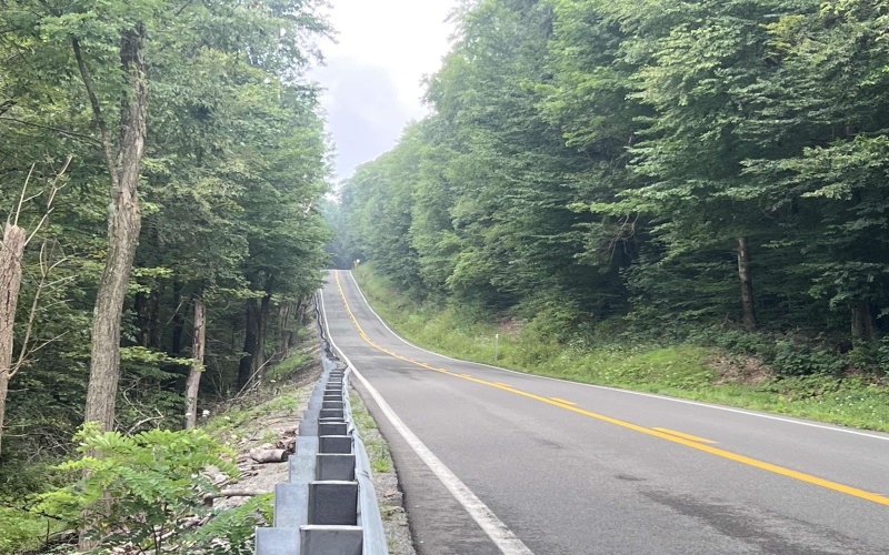 TBD Mountaineer Highway, Parsons, West Virginia 26287, ,Lots/land,For Sale,Mountaineer,10160922