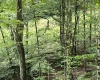 TBD Mountaineer Highway, Parsons, West Virginia 26287, ,Lots/land,For Sale,Mountaineer,10160922