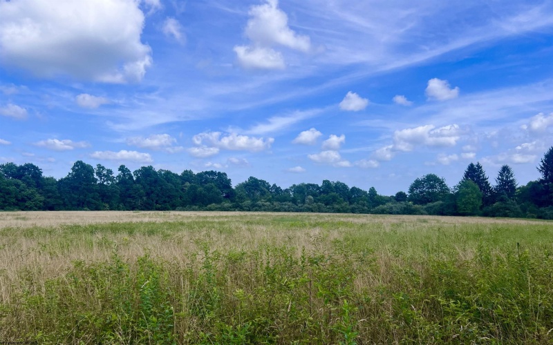 TBD Jackie Brown Road, Independence, West Virginia 26374, ,Lots/land,For Sale,Jackie Brown,10160921