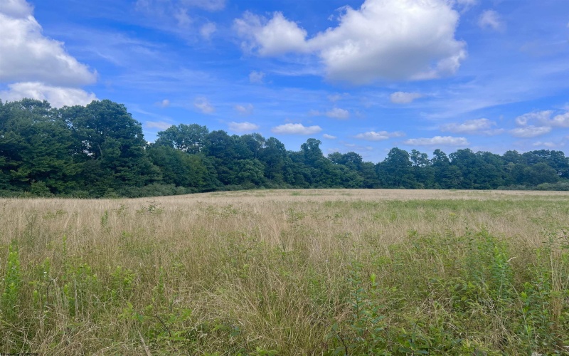 TBD Jackie Brown Road, Independence, West Virginia 26374, ,Lots/land,For Sale,Jackie Brown,10160921