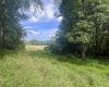 TBD Jackie Brown Road, Independence, West Virginia 26374, ,Lots/land,For Sale,Jackie Brown,10160921