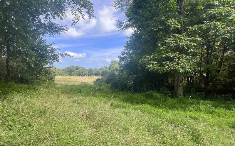 TBD Jackie Brown Road, Independence, West Virginia 26374, ,Lots/land,For Sale,Jackie Brown,10160921