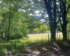 TBD Jackie Brown Road, Independence, West Virginia 26374, ,Lots/land,For Sale,Jackie Brown,10160921