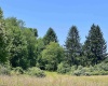 TBD Jackie Brown Road, Independence, West Virginia 26374, ,Lots/land,For Sale,Jackie Brown,10160921