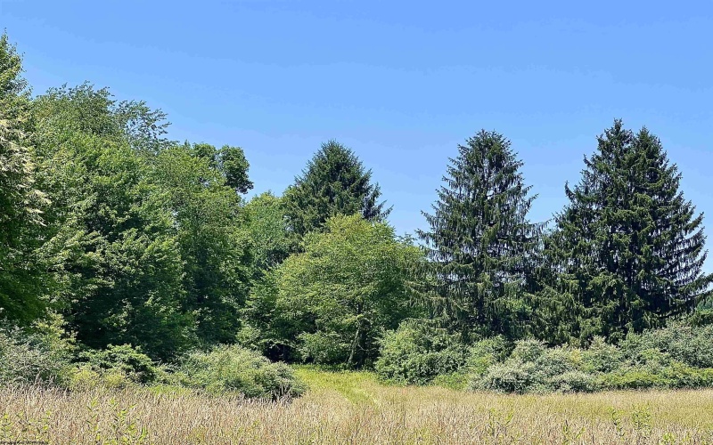 TBD Jackie Brown Road, Independence, West Virginia 26374, ,Lots/land,For Sale,Jackie Brown,10160921