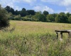 TBD Jackie Brown Road, Independence, West Virginia 26374, ,Lots/land,For Sale,Jackie Brown,10160921