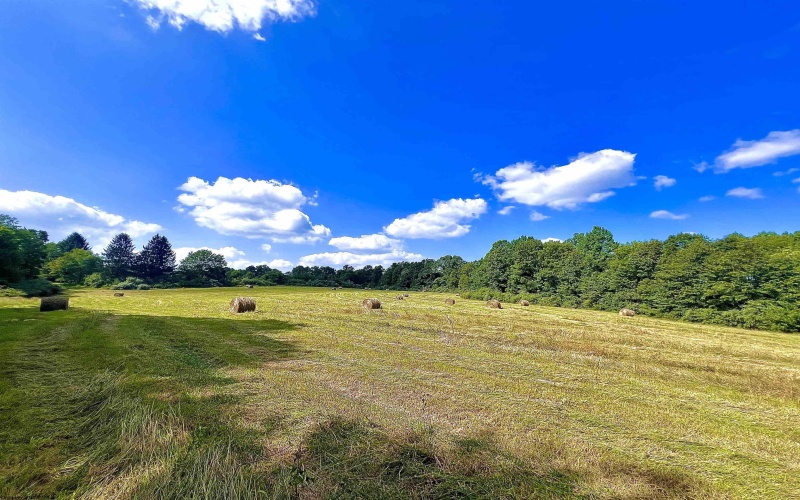TBD Jackie Brown Road, Independence, West Virginia 26374, ,Lots/land,For Sale,Jackie Brown,10160921