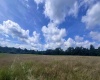 TBD Jackie Brown Road, Independence, West Virginia 26374, ,Lots/land,For Sale,Jackie Brown,10160921