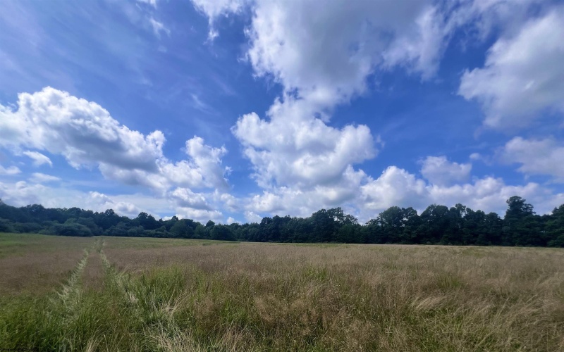 TBD Jackie Brown Road, Independence, West Virginia 26374, ,Lots/land,For Sale,Jackie Brown,10160921