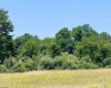 TBD Jackie Brown Road, Independence, West Virginia 26374, ,Lots/land,For Sale,Jackie Brown,10160921