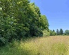 TBD Jackie Brown Road, Independence, West Virginia 26374, ,Lots/land,For Sale,Jackie Brown,10160921