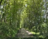 TBD Jackie Brown Road, Independence, West Virginia 26374, ,Lots/land,For Sale,Jackie Brown,10160921