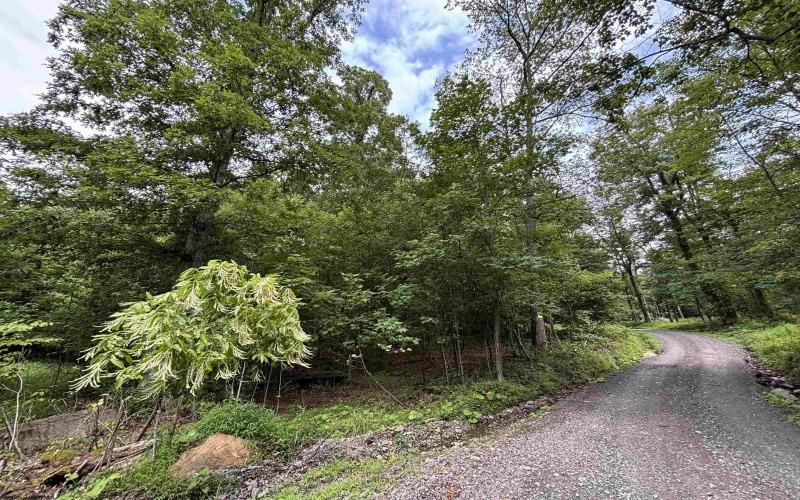 00 Mayfield Road, Morgantown, West Virginia 26508, ,Lots/land,For Sale,Mayfield,10160942