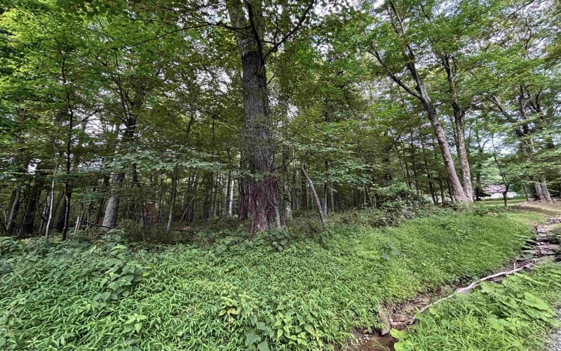 00 Mayfield Road, Morgantown, West Virginia 26508, ,Lots/land,For Sale,Mayfield,10160942