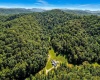 3001 Chapel Road, Gassaway, West Virginia 26624, 4 Bedrooms Bedrooms, 11 Rooms Rooms,2 BathroomsBathrooms,Single Family Detached,For Sale,Chapel,10160941