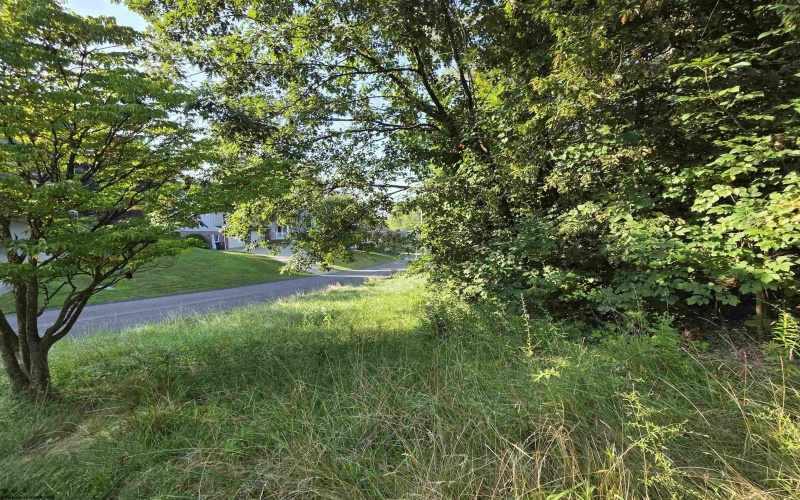 104 Forest Drive, Morgantown, West Virginia 26505, ,Lots/land,For Sale,Forest,10160947