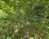 104 Forest Drive, Morgantown, West Virginia 26505, ,Lots/land,For Sale,Forest,10160947