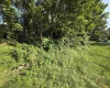 104 Forest Drive, Morgantown, West Virginia 26505, ,Lots/land,For Sale,Forest,10160947