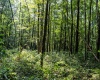 TBD Preston Highway, Bruceton Mills, West Virginia 26525, ,Lots/land,For Sale,Preston,10160950