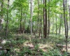 TBD Preston Highway, Bruceton Mills, West Virginia 26525, ,Lots/land,For Sale,Preston,10160950