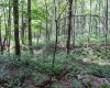 TBD Preston Highway, Bruceton Mills, West Virginia 26525, ,Lots/land,For Sale,Preston,10160950