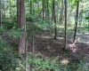 TBD Preston Highway, Bruceton Mills, West Virginia 26525, ,Lots/land,For Sale,Preston,10160950