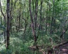 TBD Preston Highway, Bruceton Mills, West Virginia 26525, ,Lots/land,For Sale,Preston,10160950
