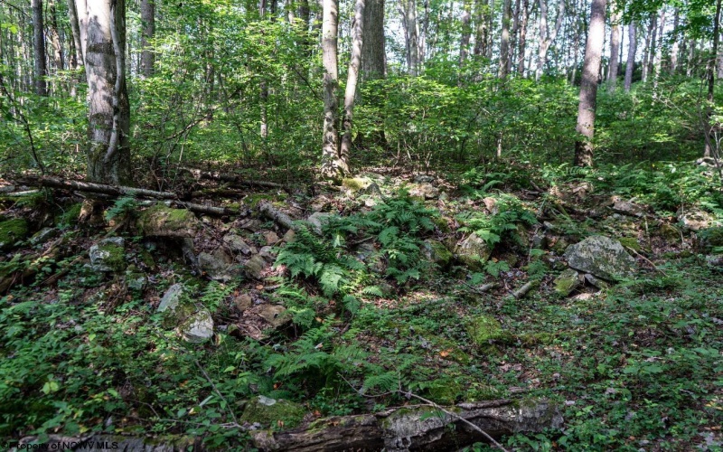 TBD Preston Highway, Bruceton Mills, West Virginia 26525, ,Lots/land,For Sale,Preston,10160950