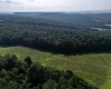 TBD Preston Highway, Bruceton Mills, West Virginia 26525, ,Lots/land,For Sale,Preston,10160950