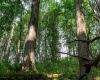 TBD Preston Highway, Bruceton Mills, West Virginia 26525, ,Lots/land,For Sale,Preston,10160950