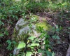 TBD Preston Highway, Bruceton Mills, West Virginia 26525, ,Lots/land,For Sale,Preston,10160950