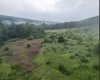 TBD Freeport Road, Terra Alta, West Virginia 26764, ,Lots/land,For Sale,Freeport,10160959