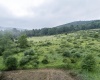 TBD Freeport Road, Terra Alta, West Virginia 26764, ,Lots/land,For Sale,Freeport,10160959