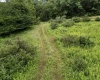TBD Freeport Road, Terra Alta, West Virginia 26764, ,Lots/land,For Sale,Freeport,10160959