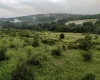 TBD Freeport Road, Terra Alta, West Virginia 26764, ,Lots/land,For Sale,Freeport,10160959