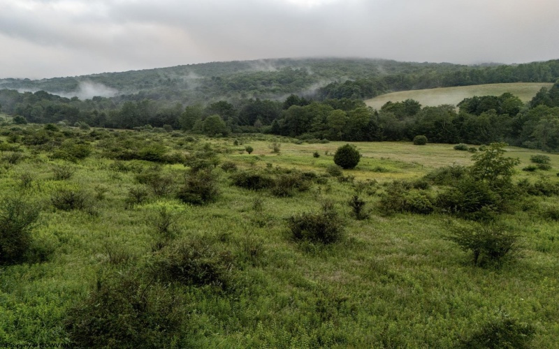 TBD Freeport Road, Terra Alta, West Virginia 26764, ,Lots/land,For Sale,Freeport,10160959
