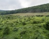 TBD Freeport Road, Terra Alta, West Virginia 26764, ,Lots/land,For Sale,Freeport,10160959