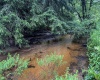 TBD Freeport Road, Terra Alta, West Virginia 26764, ,Lots/land,For Sale,Freeport,10160959
