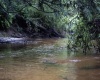 TBD Freeport Road, Terra Alta, West Virginia 26764, ,Lots/land,For Sale,Freeport,10160959
