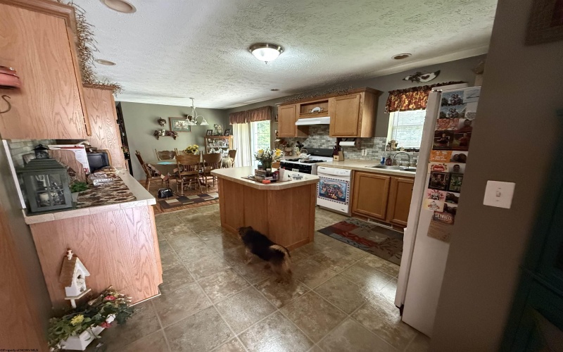 514 Wallace Road, Wallace, West Virginia 26448, 3 Bedrooms Bedrooms, 8 Rooms Rooms,2 BathroomsBathrooms,Single Family Detached,For Sale,Wallace,10160974