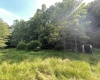 816 Sugar Run Road, Elkins, West Virginia 26241, ,Lots/land,For Sale,Sugar Run,10160376