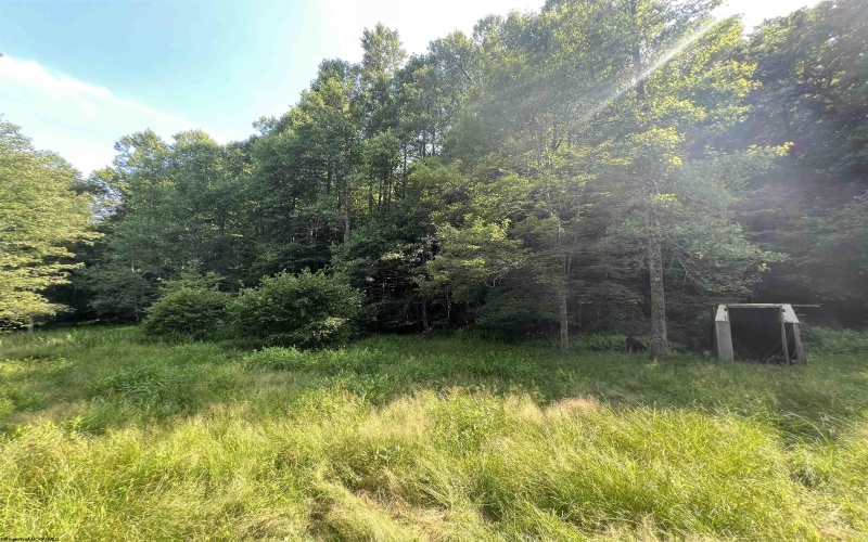 816 Sugar Run Road, Elkins, West Virginia 26241, ,Lots/land,For Sale,Sugar Run,10160376