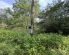 816 Sugar Run Road, Elkins, West Virginia 26241, ,Lots/land,For Sale,Sugar Run,10160376